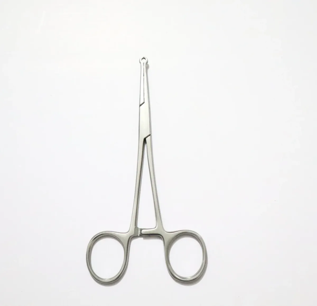 Ring Forceps 6 Inch – Stainless Steel Surgical Ring Tip Forceps for Tissue Handling