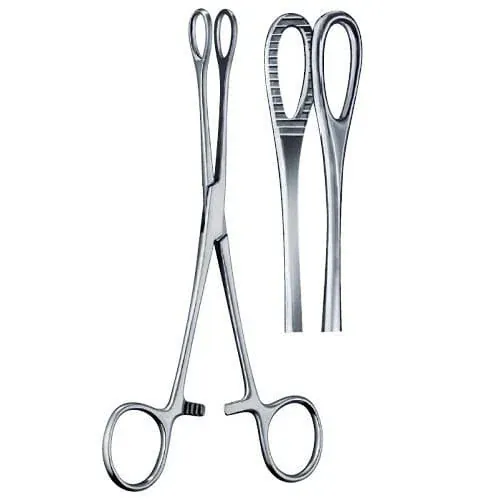 Sponge Holding Forceps Stainless Steel Surgical Instrument 10Inch for Medical Use